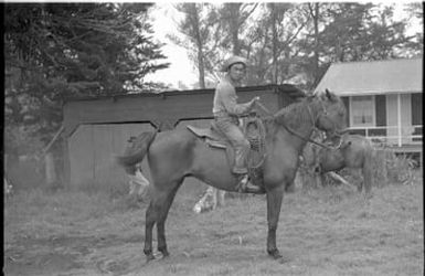 Fieldwork in Hawaii