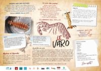 14. Poster Varo (français)