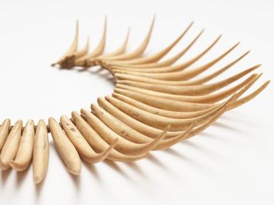 Wasekaseka (sperm whale tooth necklace)