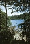 Canoes by the shore