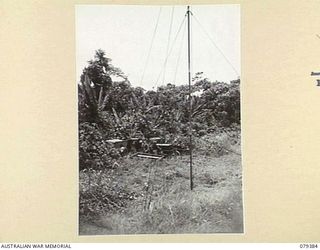 LAE, NEW GUINEA. 1945-03-11. A WS133 TRANSMITTER OF THE 34TH WIRELESS SECTION (HEAVY) OPERATING IN THE JUNGLE DURING A UNIT MOBILITY TEST. SEEN IS:- QX39369 CORPORAL G.C. FINDLAY