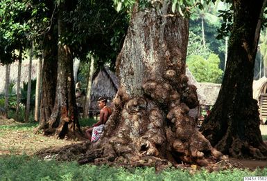 ["fotografi, photograph"]