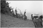 Pig festival, pig sacrifice, Tsembaga: men run from behind breached ritual fence, onto dance ground