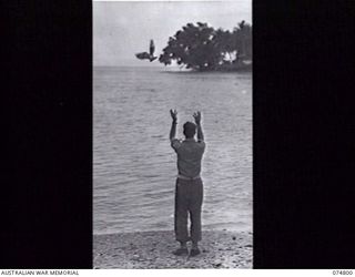 MILILAT, NEW GUINEA. 16 JULY 1944. A MEMBER OF THE 1ST PIGEON COMPANY, HEADQUARTERS, 5TH DIVISION, RELEASING A HOMING PIGEON WITH A MESSAGE ATTACHED FROM THE BEACH NEAR THE CAMP