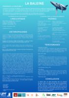 La baleine à bosse ( français)