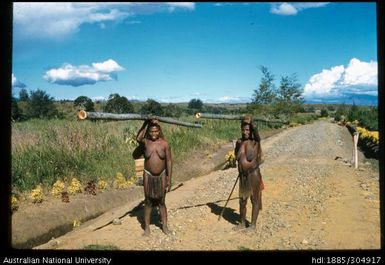 Meris carrying bamboo water pipes, Lower Asaro