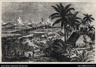 Brewer & Joske's sugar mill, Suva