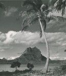 Mountain of Bora-Bora