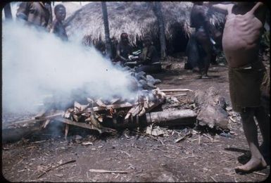 The food is smoking : Wahgi Valley, Papua New Guinea, 1954 and 1955 / Terence and Margaret Spencer