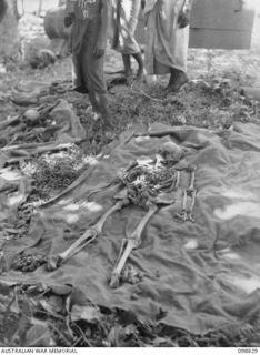 BALLALAE ISLAND, BOUGAINVILLE AREA. 1945-11-10. THE SKELETON OF AN ALLIED SOLDIER, RECOVERED BY THE ATROCITIES COMMISSION, LAID OUT ON A BLANKET PRIOR TO REMOVAL BY A WAR GRAVES REGISTRATION UNIT. ..