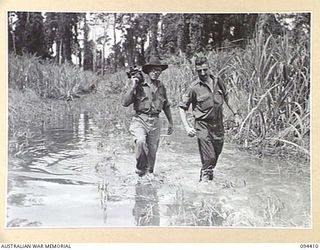 TOROKINA AREA, BOUGAINVILLE. 1945-07-28. LIEUTENANT F.S. WOOD, OFFICIAL CINEMATOGRAPHER (1) AND STAFF SERGEANT C. SCALE, CINEMATOGRAPHER (2), WADING THROUGH SWAMPS TO PHOTOGRAPH TANK TRIALS OF THE ..