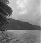 Beach scene at Tahiti