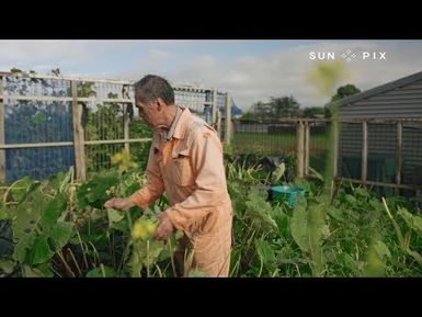 Gardening Guru Papa Tom