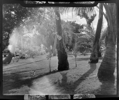 Tropique Hotel, Tahiti, showing people leaving their accommodation surrounded by native bush and trees