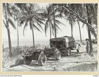 PORT MORESBY, PAPUA. 1942-07-11. AUSTRALIAN ARTILLERY UNIT AT ITS ACTION STATION ON THE NEW GUINEA COAST. SHADE FROM THE COCONUT PALMS PROVIDE EXCELLENT CAMOUFLAGE. NOTE - THESE GUNS ARE NOT IN ..