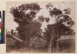 View of missionaries in tree houses, Veiburi, near Port Moresby, Papua New Guinea, ca. 1890