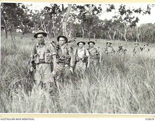 PAPUA, NEW GUINEA. 1942-07. A SECTION OF AN AUSTRALIAN INFANTRY PATROL FOLLOWING A NATIVE PATH THROUGH THICK GRASS
