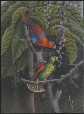 [Lorikeets] Ellis Rowan