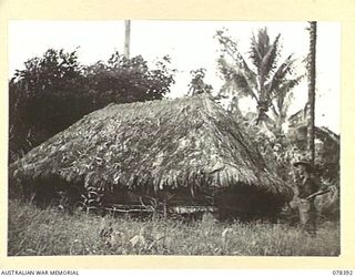 RAK VILLAGE, NEW BRITAIN. 1945-01-17. NX51929 SERGEANT A.N. TAYLOR, "B" COMPANY, 1ST NEW GUINEA INFANTRY BATTALION OUTSIDE THE VILLAGE HUT WHICH WAS HIS HOME FOR TWO MONTHS WHILE NURSING THE LATE ..