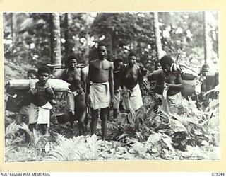 PETATS ISLAND, BOUGAINVILLE AREA. 1945-02-22. NATIVE WOMEN AND BOYS MOVING ALONG A JUNGLE TRACK WITH THEIR FOOD AND POSSESSIONS AS THEY MOVE DOWN TO THE BEACH FOR EVACUATION BY PERSONNEL OF THE ..