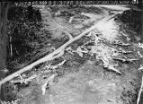 Aerial view of destroyed planes at Wewak