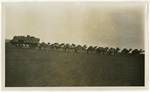 Camel train Quilpie, Queensland, late 1890s