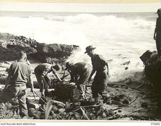 POTSDAM, NEW GUINEA. 1944-09-05. OFFICERS OF THE 25TH INFANTRY BATTALION SAFELY RECOVERING A 44 GFALLON DRUM OF PETROL ONE OF MANY WASHED UP ON THE COAST DURING STORMS IN THE AREA