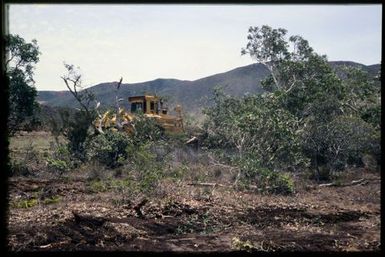 Bulldozer clearing maquis