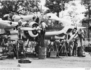 New Guinea. 6 March 1944. A RAAF Beaufort bomber aircraft undergoing an 80-hour inspection by a team of fitters, riggers and armourers from No. 100 Squadron RAAF
