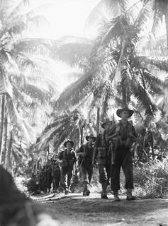 BUNABUN, NEW GUINEA. 1944-05-28. FORWARD TROOPS OF THE 35TH INFANTRY BATTALION ENTERING BUNABUN THROUGH A COCONUT PLANTATION. IDENTIFIED PERSONNEL ARE:- N185414 PRIVATE JOHNSON (1); PRIVATE CARLO ..