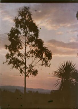 New Zealand, sunset