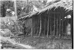 Ubuni, left, and Sale 'Oirukua, right, work on new house, Kwailala'e