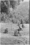 Women gather plant debris and cut grass around government rest house in Tsembaga, anticipating visit from patrol officer