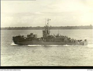 Puriata River, Bougainville. 1944-12-31. An Allied Landing Craft Infantry gunboat returning to base after taking part in a combined Naval - Air attack on Japanese positions on the Toko River