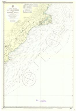 [New Zealand hydrographic charts]: New Zealand - South Island. Cape Saunders to Nugget Point. (Sheet 66)