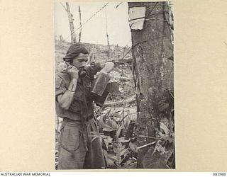 BOUGAINVILLE, SOLOMON ISLANDS. 1944-12-13. BRIGADIER W. RYAN, 12 BATTERY, 4 FIELD REGIMENT, ROYAL AUSTRALIAN ARMY, TESTING THE PHONE LINE TO THE OBSERVATION POST ON GEORGE HILL