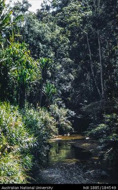 Okapa road - 19 miles to Orona (left of road)