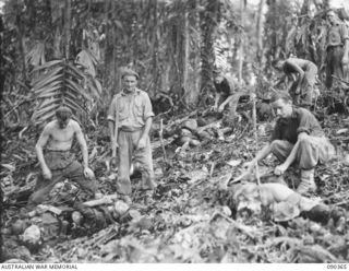 Troops of 25 Battalion searching Japanese bodies for documents and equipment after the action on Slater's Knoll. A bulldozer was brought forward to dig graves after the search. The soldier standing ..