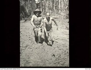 AITAPE, NORTH EAST NEW GUINEA. C. 1944-06. LEADING AIRCRAFTMAN N. C. HARVEY, SOUTH YARRA, VIC, AND SERGEANT A. LANCASTER, HOBART, TAS, TIMBER-GETTERS WITH NO. 7 MOBILE WORKS SQUADRON RAAF, PLOUGH ..