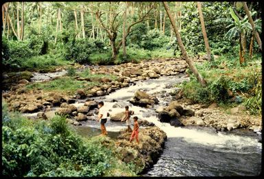 Stream at Somosomo, Taveuni, 1971