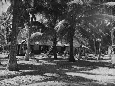 [View of a dwelling between palm trees]