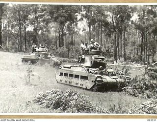 SOUTHPORT, QLD. 1944-01-18. A MATILDA TANK OF THE 4TH ARMOURED BRIGADE, WITH THREE NEW GUINEA POLICE BOYS AS PASSENGERS, KNOCKING DOWN A SMALL TREE DURING A TANK DEMONSTRATION