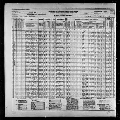 1940 Census Population Schedules - Hawaii - Honolulu County - ED 2-200