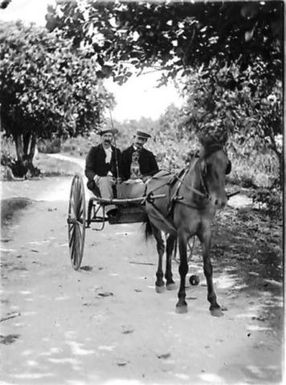 Two men and a dog on Avarua Road