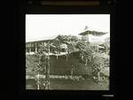 Two dwellings on hill, New Guinea?, c1924 to ?