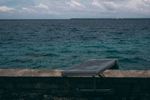 Solar panel infront of seal, Fakaofo, Tokelau
