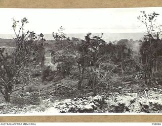 KAKAKOG AREA, NEW GUINEA, 1943-10-02. DAMAGED COUNTRYSIDE RESULTING FROM THE HEAVY ALLIED BOMBING OF THE AREA