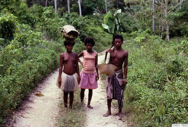 ["fotografi, photograph"]