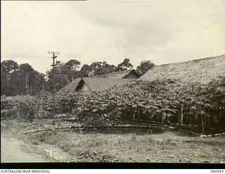 Lae, New Guinea. 1945-04-29. Exterior view of Ward 16, 2/7th Australian Army General Hospital