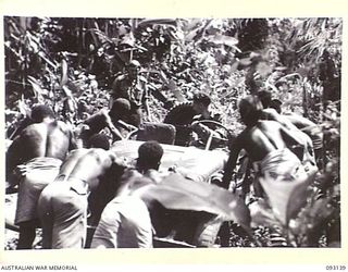 SORAKEN AREA, BOUGAINVILLE, 1945-06-16. CAPT W. KENNEDY, OFFICER COMMANDING 11 INFANTRY BRIGADE SIGNALS (2), LT W.R. THOMPSON, GUARD PLATOON, 11 INFANTRY BRIGADE (1) AND NATIVES GETTING A JEEP OUT ..